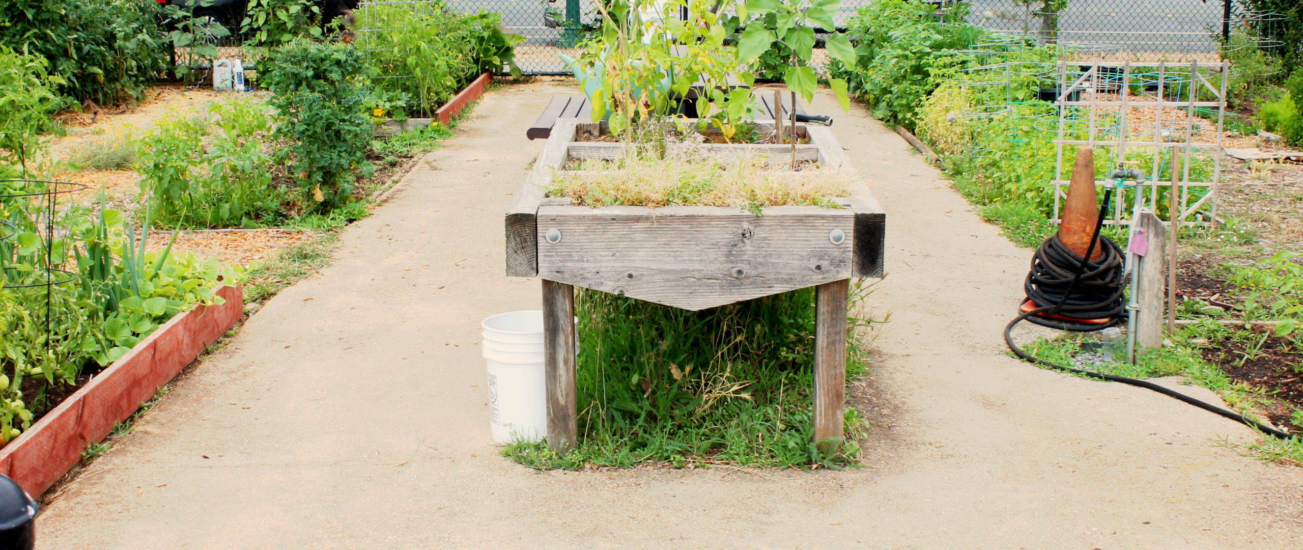 The community garden in Finali Park.