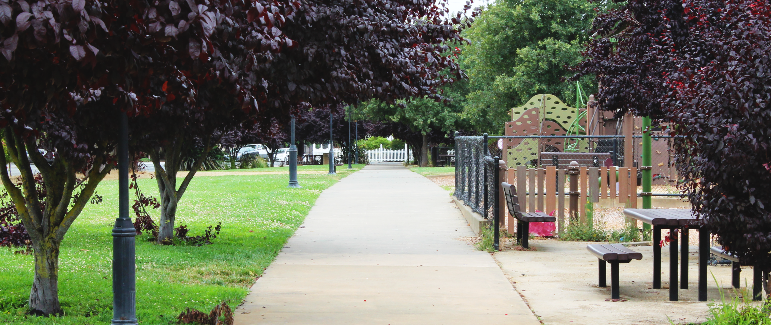 Sidewalk path in Finali Park.